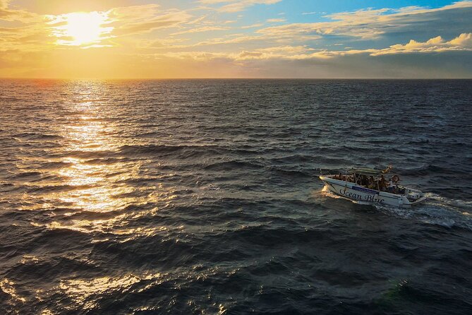 Private Charter 2 Hours Whale Watching Puerto Colon Adeje - Private Charter in Puerto Colon: What You’re Really Buying
