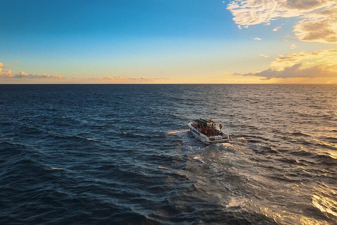private charter 3 Hours Whale Encounter puerto colon adeje - Entering The Scene at Tenerife Yacht Lina (Kailanipier)