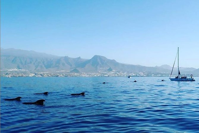 Private Charter in Tenerife south max 7 people - Why a Private Sailboat in Tenerife South Feels Different
