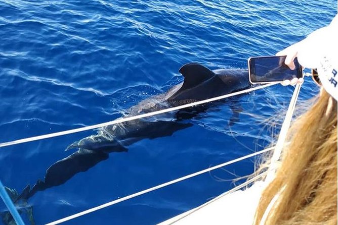 Private Charter in Tenerife south max 7 people - Pricing for Up to 7 People: When This Becomes Great Value