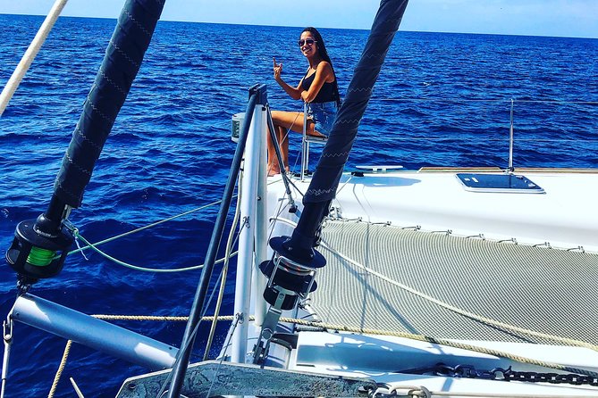 Private Charter On Our Luxury Catamaran - What the “whale watching” part is like in real life