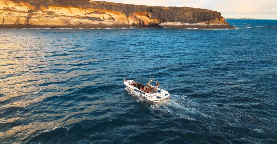 Private Charter Private Charter to see the whales - 2 Hours - Puerto Colón Photo Stop and Guided Time on Shore