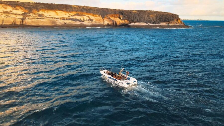 Private Charter Private Charter to see the whales - 2 Hours - Who Should Book This Tenerife Whale Charter