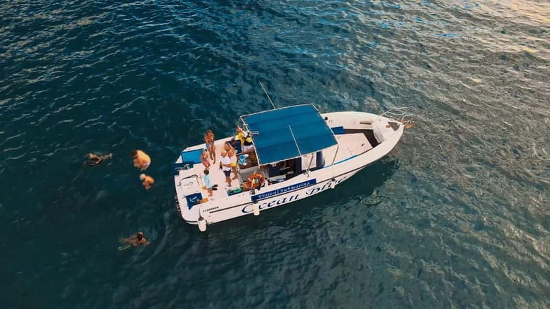 Private Charter Private Charter to see the whales - 3 Hours - Key things to know before you go