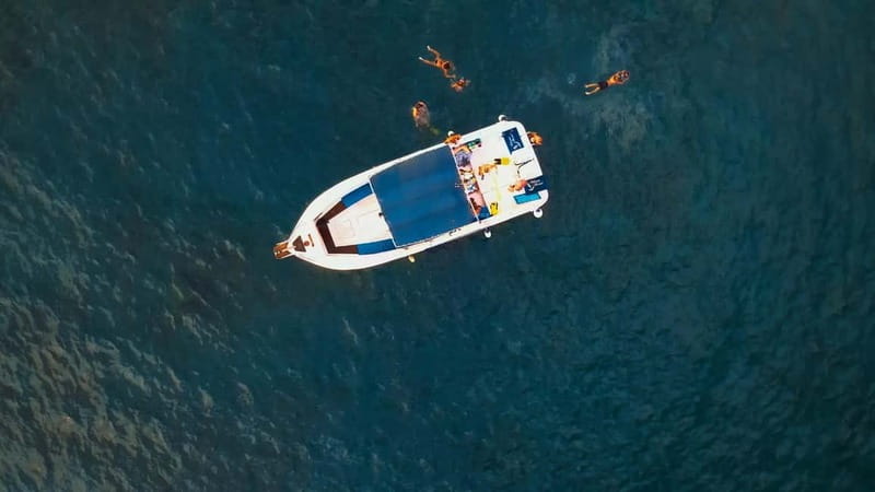 Private Charter Private Charter to see the whales - 3 Hours - Private 3-hour whale charter: what you’re really paying for
