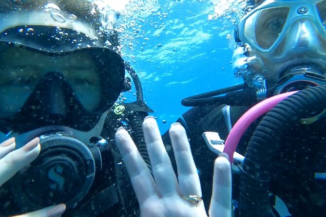 Private Dive Discovery for Beginners from a Boat - Key highlights I’d bet on