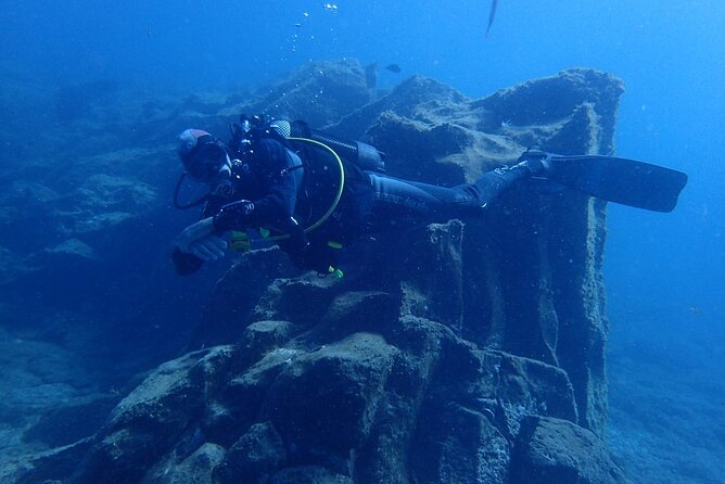 Private Dive Discovery for Beginners from a Boat - The underwater experience you’ll actually remember