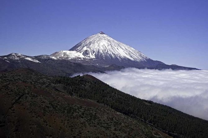 Private excursions for cruise-ship passengers - From the Port: Getting to Teide Without Turning It Into a Full-Day Grind