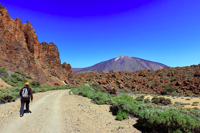 Private Full Day Tour to the Top of the Teide: go hiking and return in cable car - Teide National Park on foot: your long walking block