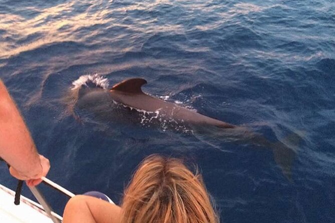 Private Glamorous Speedboat in Tenerife with Snacks & Drinks - The Secluded Bay Stop: Where the Snorkel, Swim, and Chill Happen