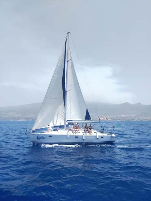 Private sailboat charter - coastal tour with snorkeling in the bay - Snorkeling in Crystal Water: Gear Is Included, Time Is Built In