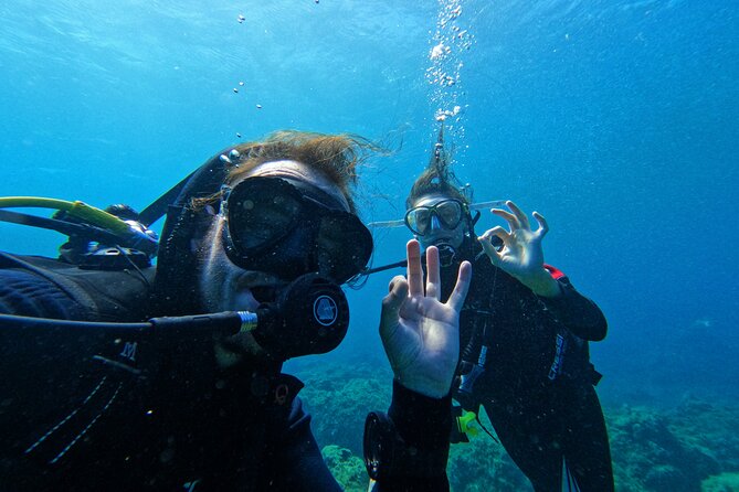 Private Scuba Diving in Tenerife – Certified Instructor & Photos - Photos and videos: turning a 30-minute moment into keepsakes