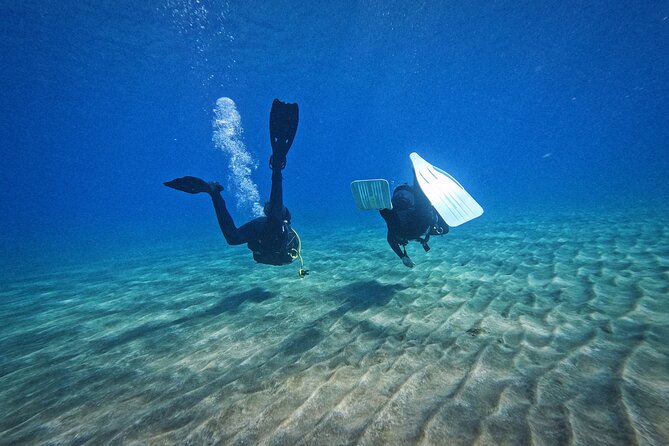 Private Scuba Diving in Tenerife – Certified Instructor & Photos - Price and value: what $114.89 includes, and what to budget for