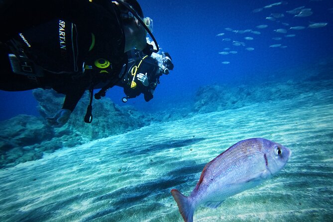 Private Scuba Diving in Tenerife – Certified Instructor & Photos - Getting there, timing, and the 24-hour flight rule