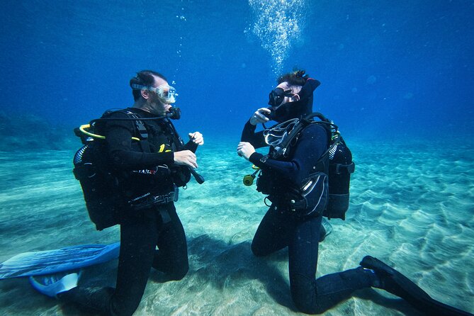 Private Scuba Diving in Tenerife – Certified Instructor & Photos - From pickup to underwater time: your 3-hour rhythm