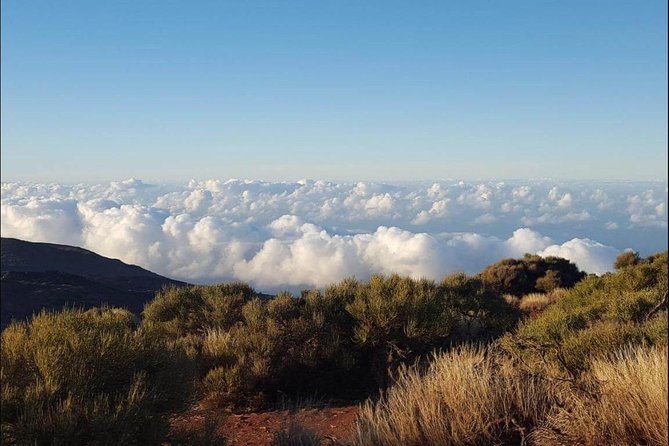 Private Shore Excursion in Tenerife from your Cruise Ship - Getting to the start: Plaza de España and pickup that works for cruise days