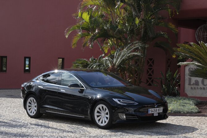 Private South Tenerife Airport Transfer to South Hotels - Key things to know
