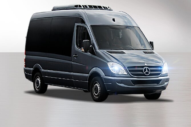 Private South Tenerife Airport Transfer to South Hotels - Practical Tips Before You Book