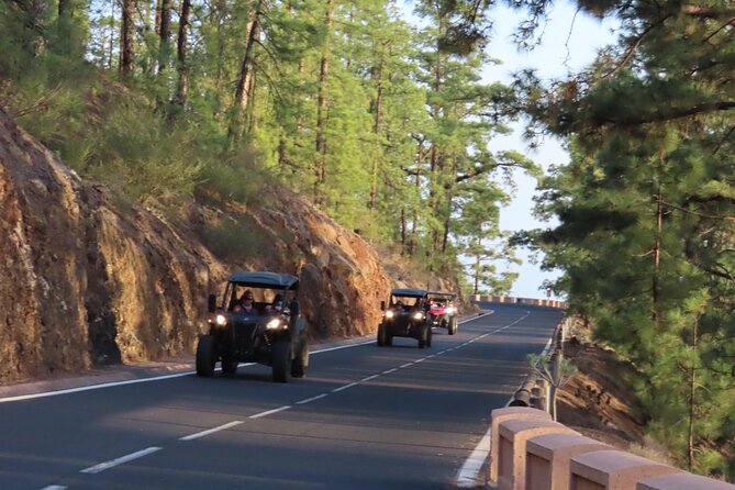 Private Sunset Tour in Tenerife - Key things I’d bet on with this buggy sunset tour