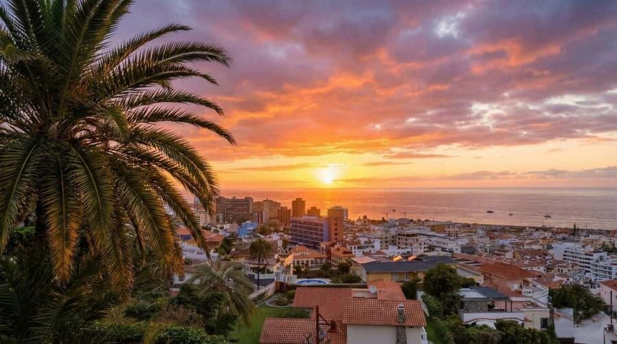 Private Teide & North Tenerife: Volcano, Valleys & Old Towns - Key points worth knowing
