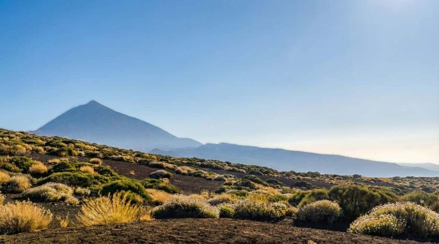 Private Teide & North Tenerife: Volcano, Valleys & Old Towns - Why this private Teide and North Tenerife loop makes sense