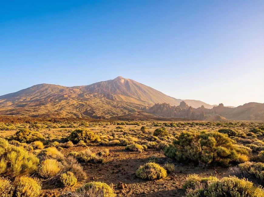 Private Teide & North Tenerife: Volcano, Valleys & Old Towns - Puerto de la Cruz: ocean promenades and café time by the sea