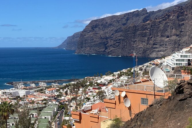 Private tour of the southwest and northwest of the island , minimun 3 person - A 6-hour private loop across Tenerife’s southwest and northwest