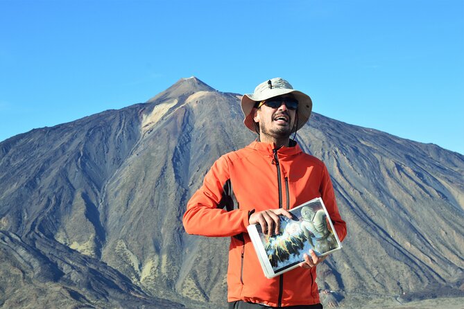 PRIVATE TOUR Teide National Park: Hiking and Stargazing - From pine forest to Teide National Park: what the climb is really like