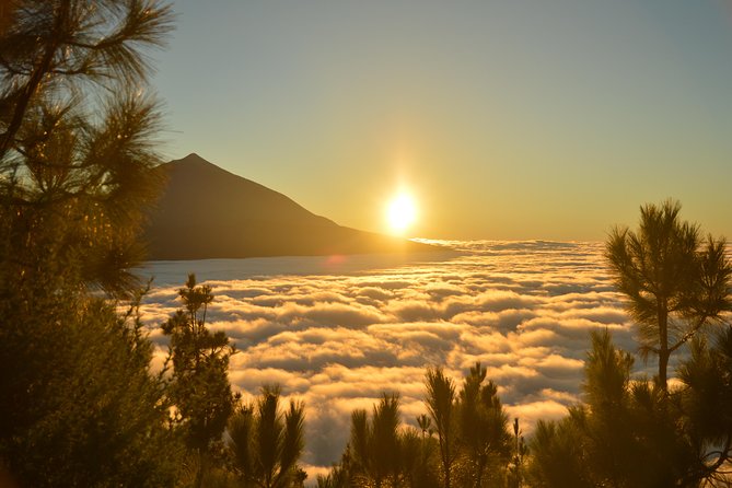 PRIVATE TOUR Teide National Park: Hiking and Stargazing - Sunset wine stop: the part that makes the hike feel like a treat