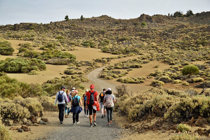 PRIVATE TOUR Teide National Park: Hiking and Stargazing - Private pick-up across Tenerife’s northeast, with air-conditioned comfort
