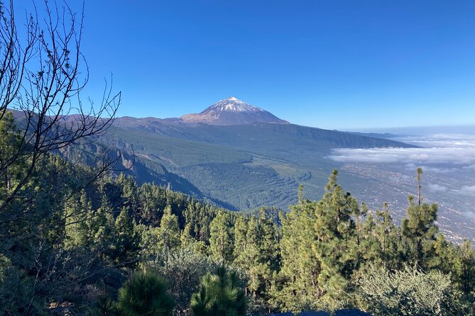 Private tour Teide National Park minimun 3 persons - Timing: what 6 hours really means on Tenerife