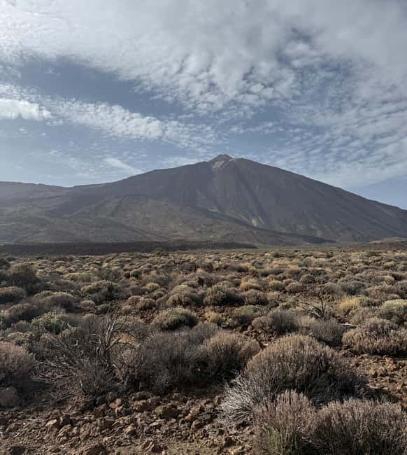 Private tour Tenerife: Teide National Park + Restaurant - Private Teide day, picked up from Playa de las Américas
