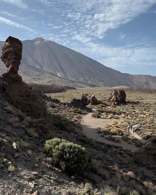 Private tour Tenerife: Teide National Park + Restaurant - Teide National Park guidance, plus viewpoints that are worth slowing down for