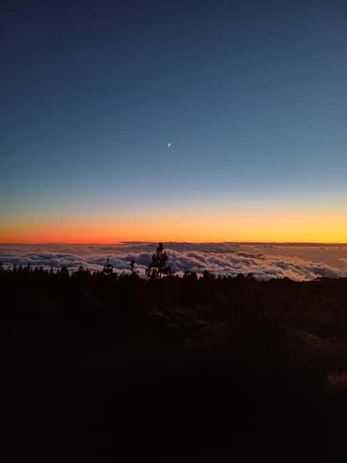Private tour Tenerife: Teide National Park + Restaurant - The restaurant stop in a Canarian-Italian spot, meal not included