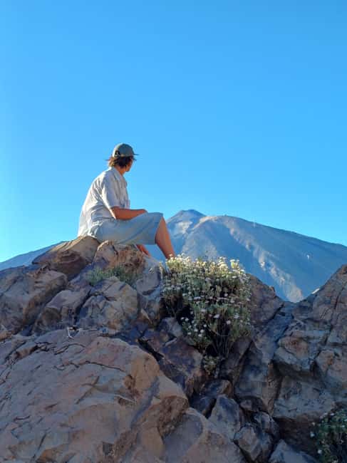 Private tour Tenerife: Teide National Park + Restaurant - Choosing the best departure time: morning, midday, or afternoon