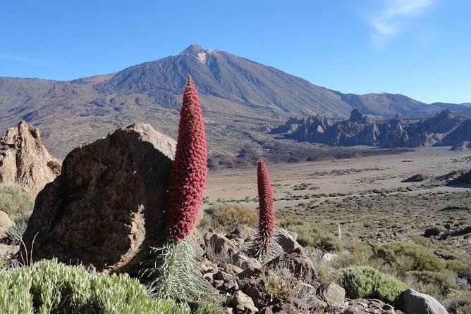 Private VIP Tour Tenerife Magic Circle - A Private VIP tour that cuts the Tenerife stress fast