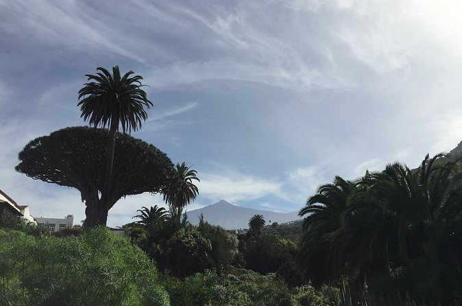 Private VIP Tour Tenerife Magic Circle - El Palmar de Vejer: the agricultural valley drive-through