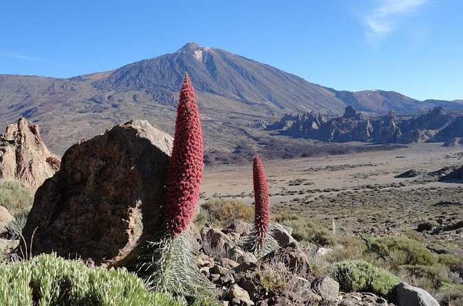 Private VIP Tour Tenerife Magic Circle - Price and value: what $277.17 gets you on Tenerife