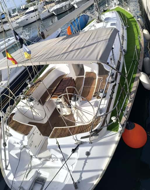Private Whales & Dolphins Excursion: for you exclusively! - A Private 3-Hour Yacht From Puerto Colón That Feels Like Real Time on the Water