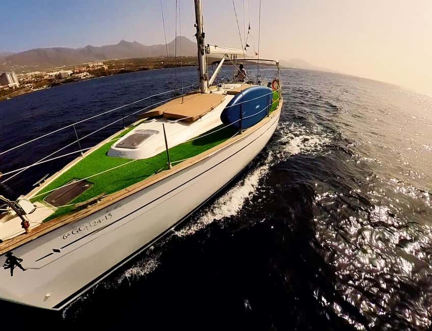 Private Whales & Dolphins Excursion: for you exclusively! - The Costa Adeje cruise and the whale and dolphin search window