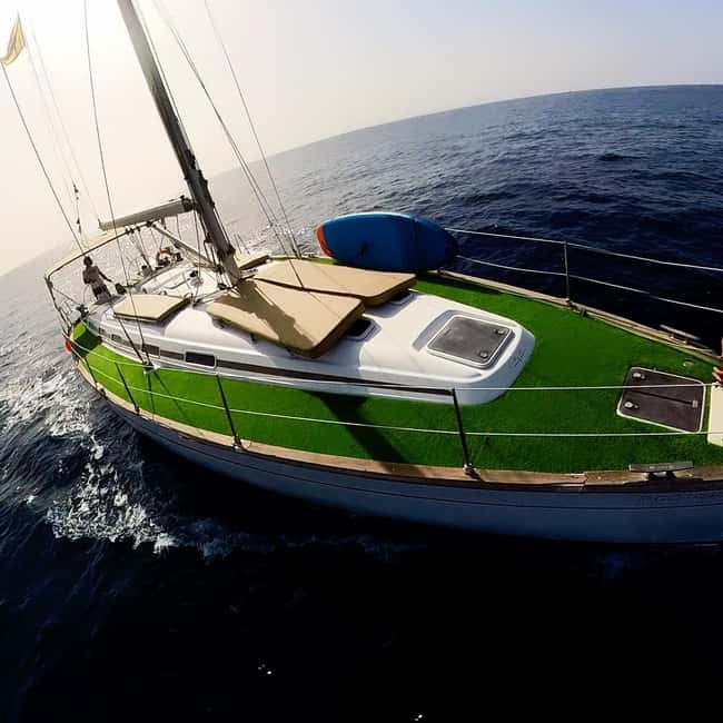 Private Whales & Dolphins Excursion: for you exclusively! - Unlimited drinks, tapas, and music that turn the boat into a proper hangout