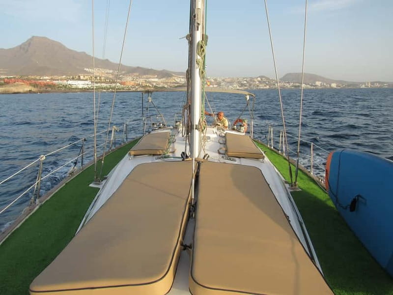 Private Whales & Dolphins Excursion: for you exclusively! - Wildlife expectations without the hype