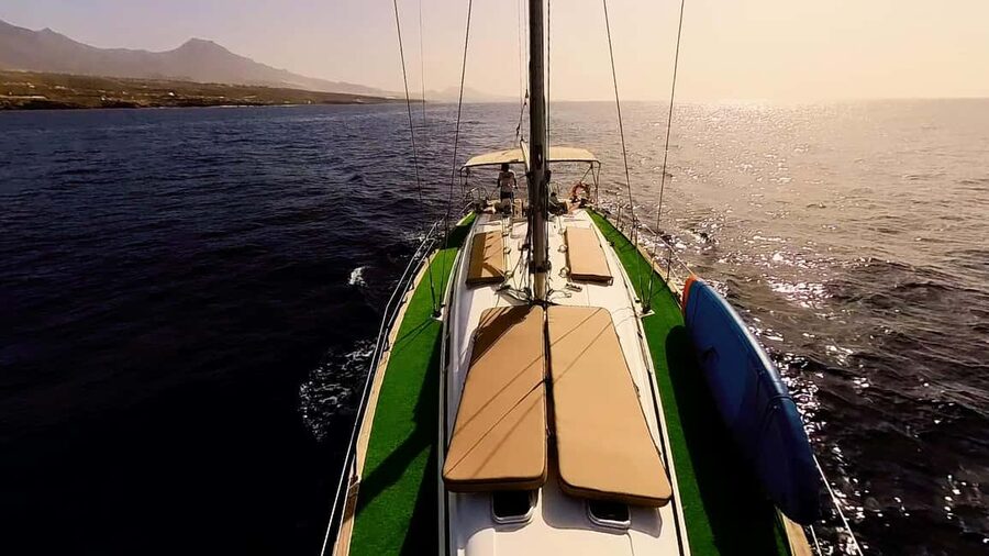 Private Whales & Dolphins Excursion: for you exclusively! - Who this trip is best for in Tenerife