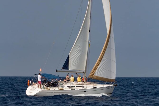 Private Yacht Excursion from Puerto Colon 3 hours - Wildlife Watching in the North Atlantic: What to Hope For (and What Not to Promise)