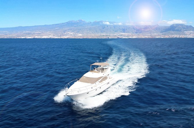 Private Yacht Experience in Puerto Colon - Value and price: is $992.07 per group worth it?
