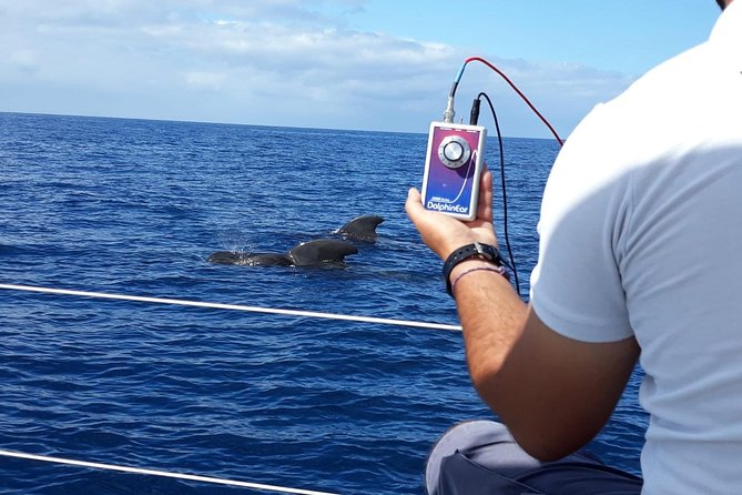 Private Yacht Tour With Whale and Dolphin Watching 33 Foot Boat - Price and Value: Is $594.75 a Good Deal?