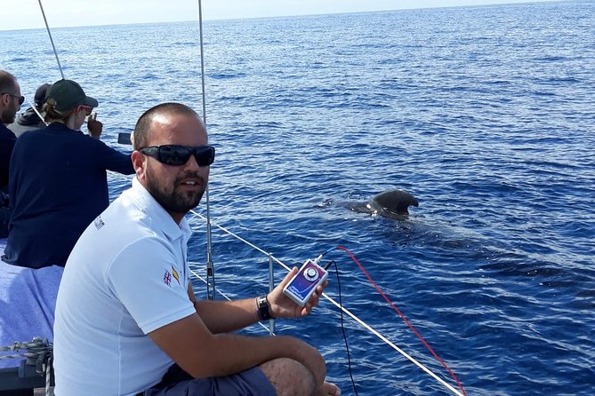Private Yacht Tour With Whale and Dolphin Watching 33 Foot Boat - What to Ask Before You Go (So You Don’t Waste Time)