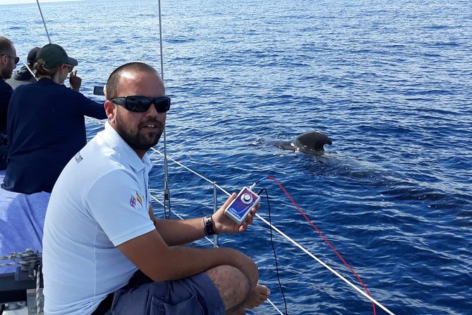 Private Yacht Tour With Whale and Dolphin Watching 42 Foot Boat - The Anchor Stop: Swimming and Snorkeling Gear Included