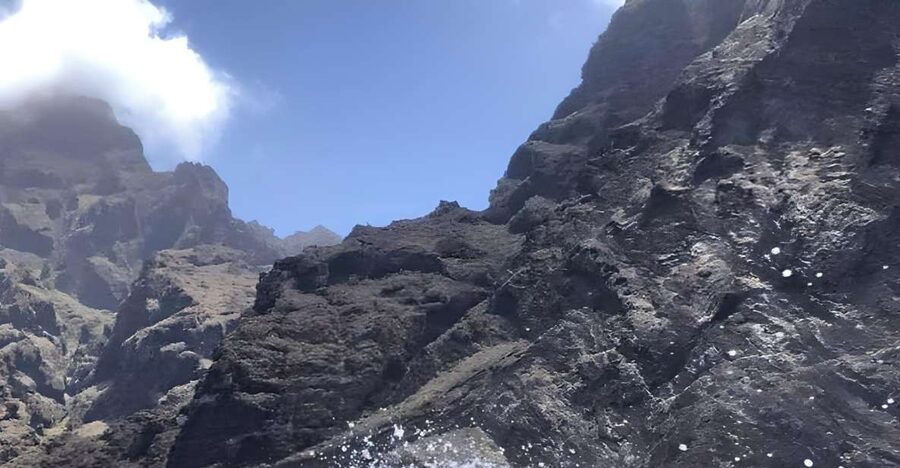 Puerto Colon: Dolphin and Whale Watching Speedboat Cruise - Why a speedboat works so well for South Tenerife marine life