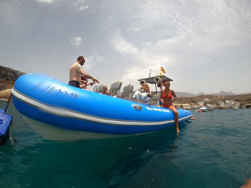 Puerto Colon: Dolphin and Whale Watching Speedboat Cruise - Clear-day perks: the chance to see Teide and La Gomera